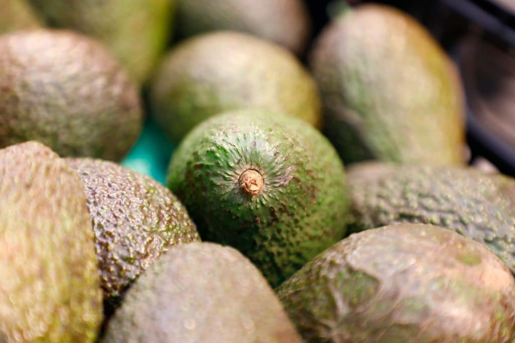 Avocados