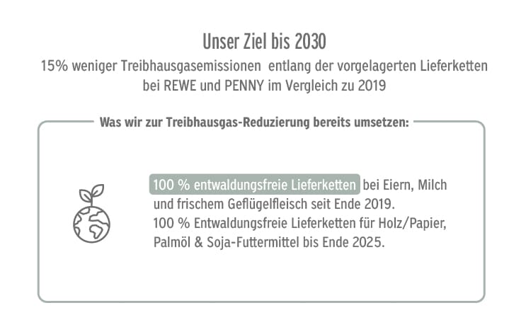 Klimaziel zum Thema Entwaldung