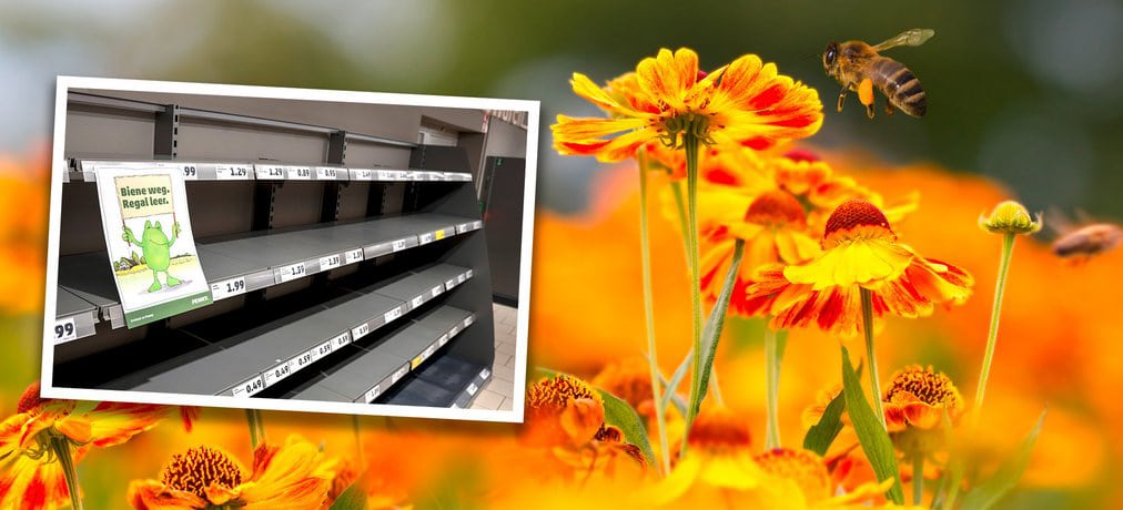 Bild von leeren Regalen in einem PENNY-Markt auf einem Hintergrund mit Blumen und Bienen