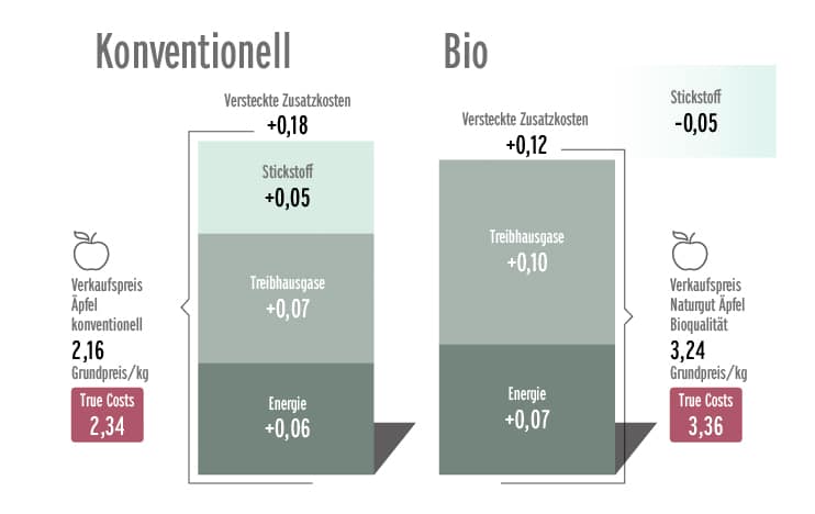 Grafik zum Thema „True Costs“ von Äpfeln