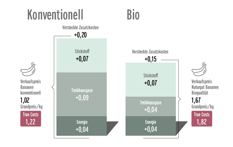 Grafik zum Thema „True Costs“ von Bananen