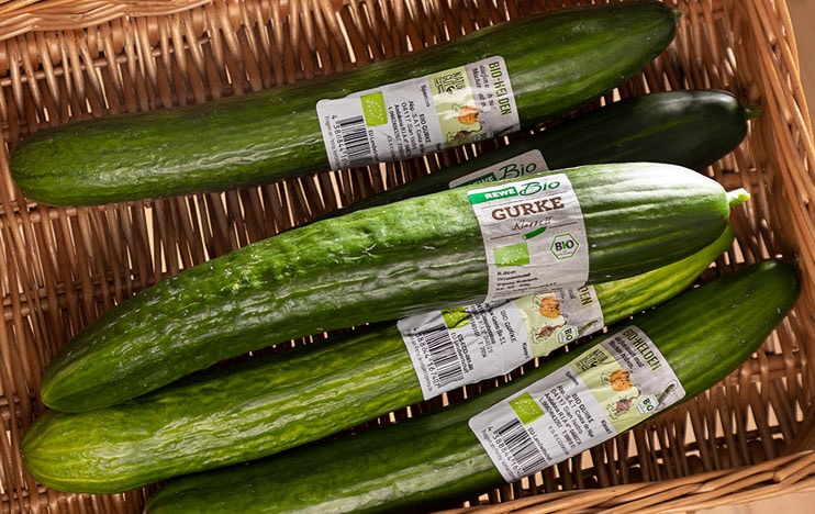 Fünf Bio-Gurken ohne Plastikverpackung