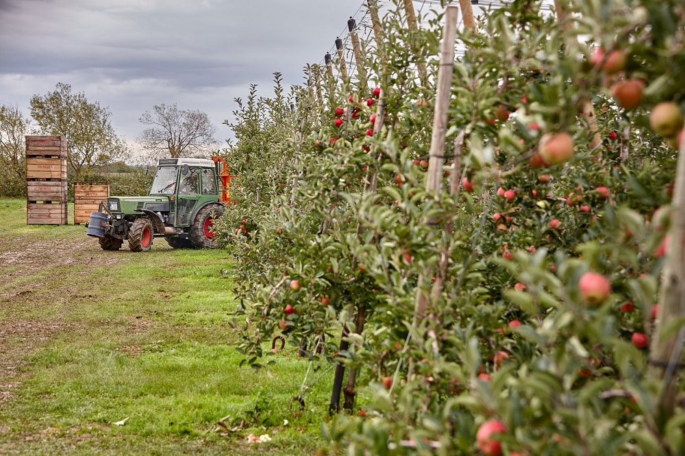 Traktor auf einem Apfelfeld
