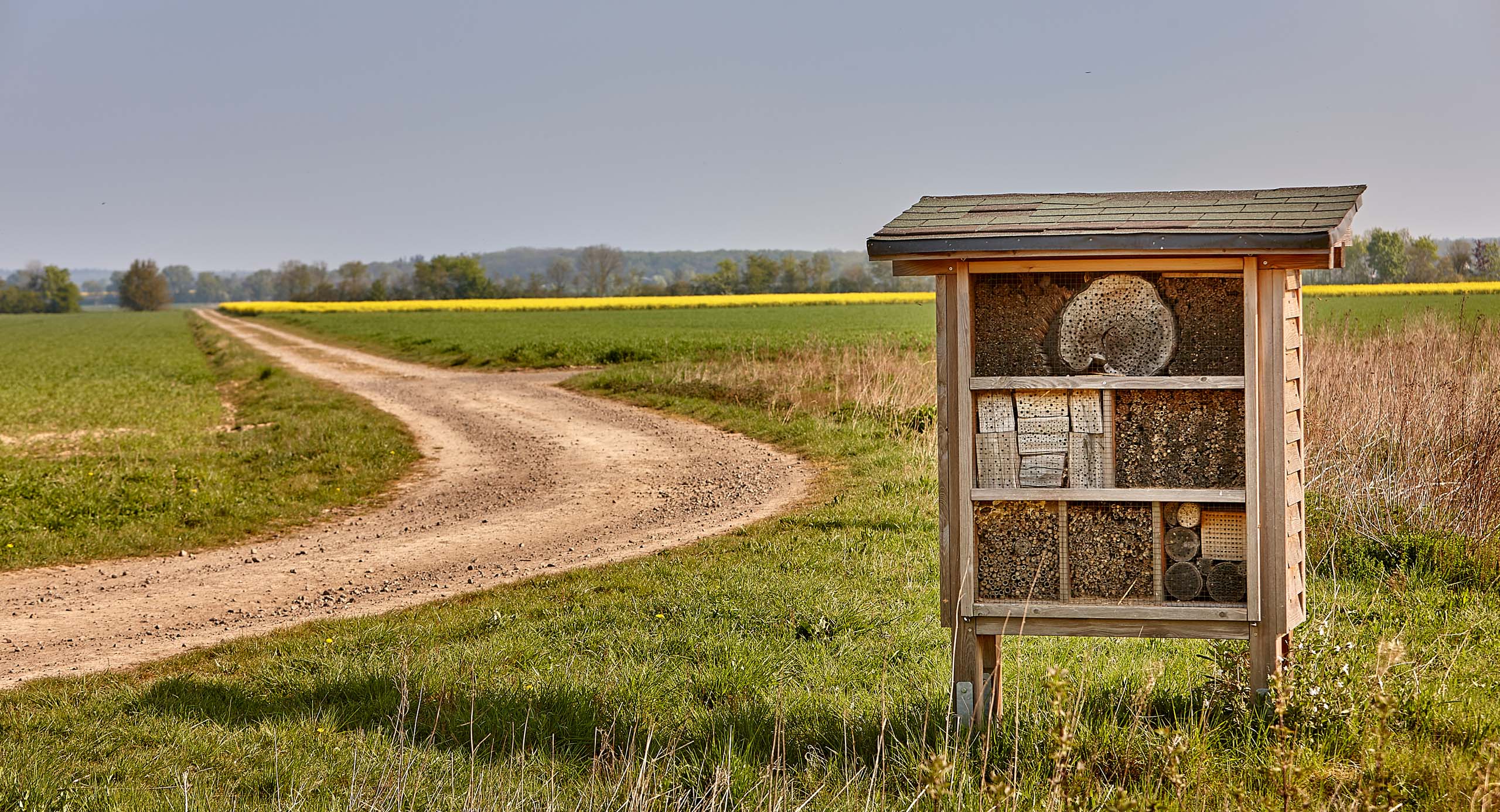 Apfelplantage der Fa. Krings. Bienenhotel am Apfelfeld, unterstützt durch den NABU.