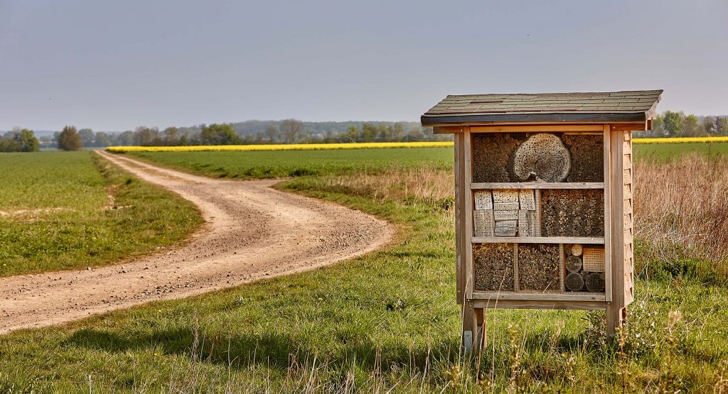 Ein Insektenhotel als Symbolbild für Nachhaltigkeit bei der REWE Group