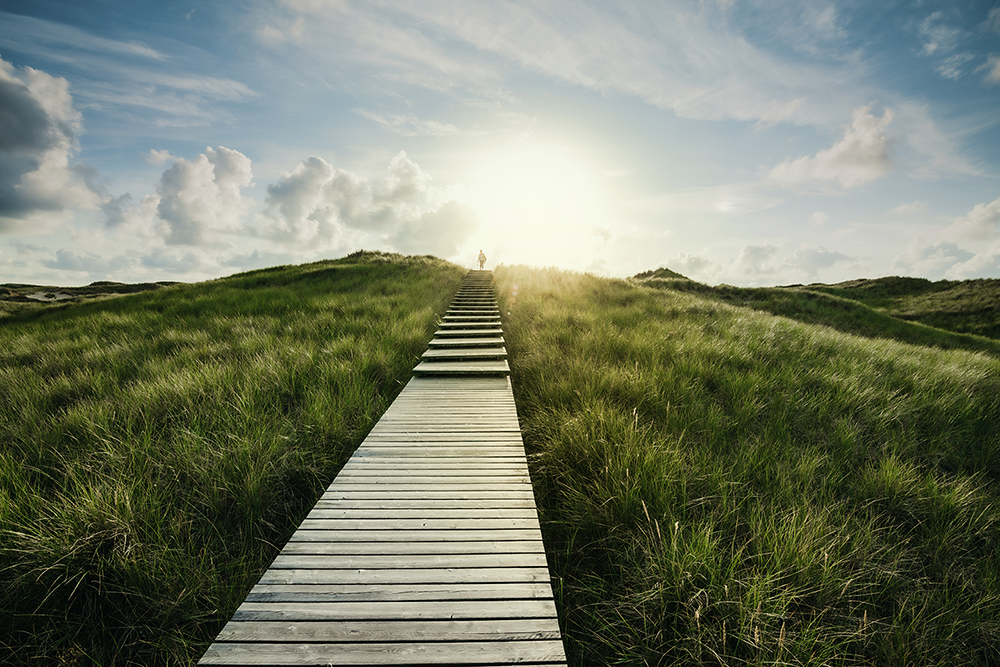 Holzsteg in der Natur