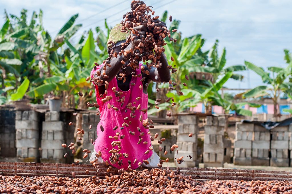 Eine Kakao-Farmerin lässt Kakao-Bohnen durch ihre Hände rieseln