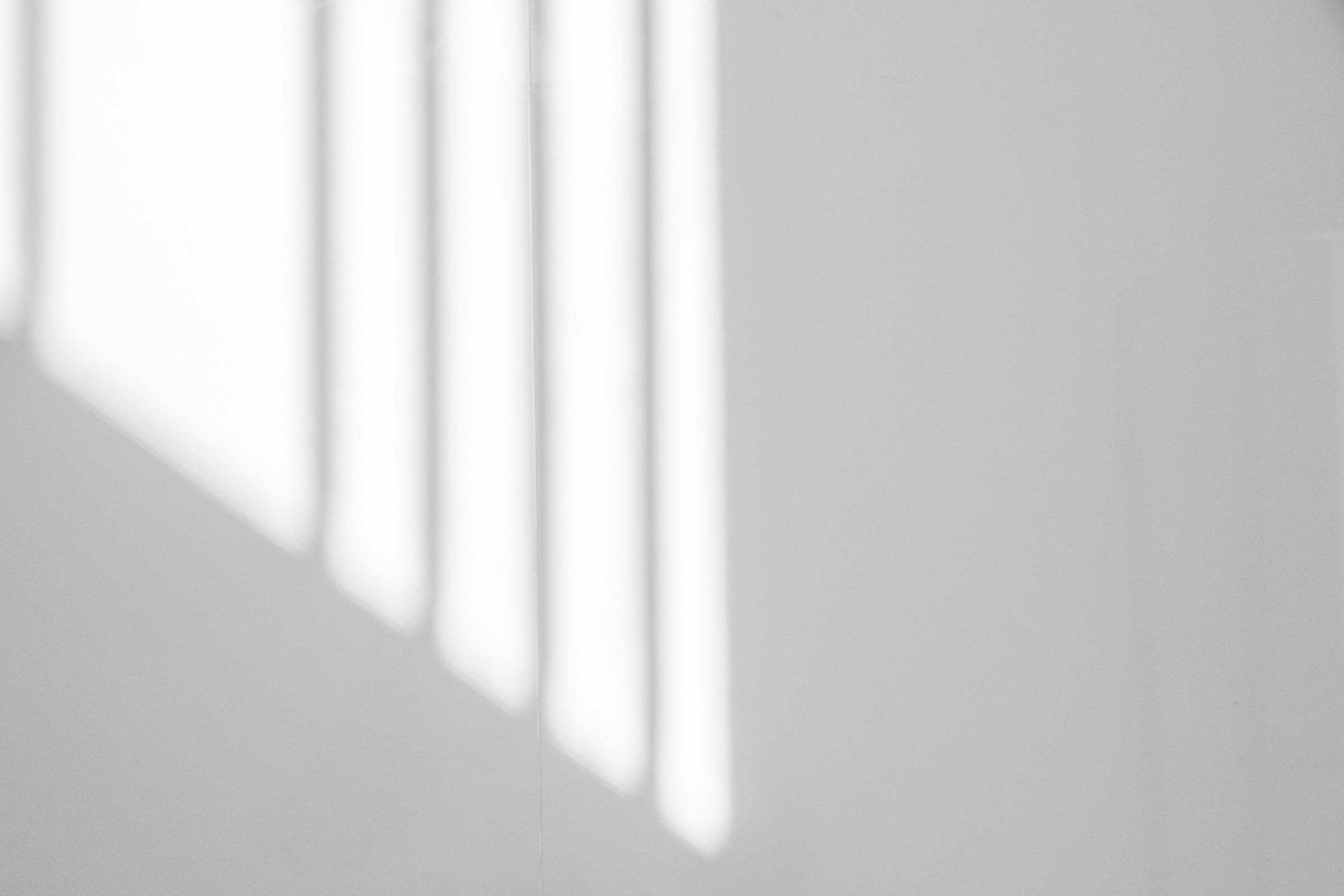 Eine weiße Wand, auf die ein Schatten fällt