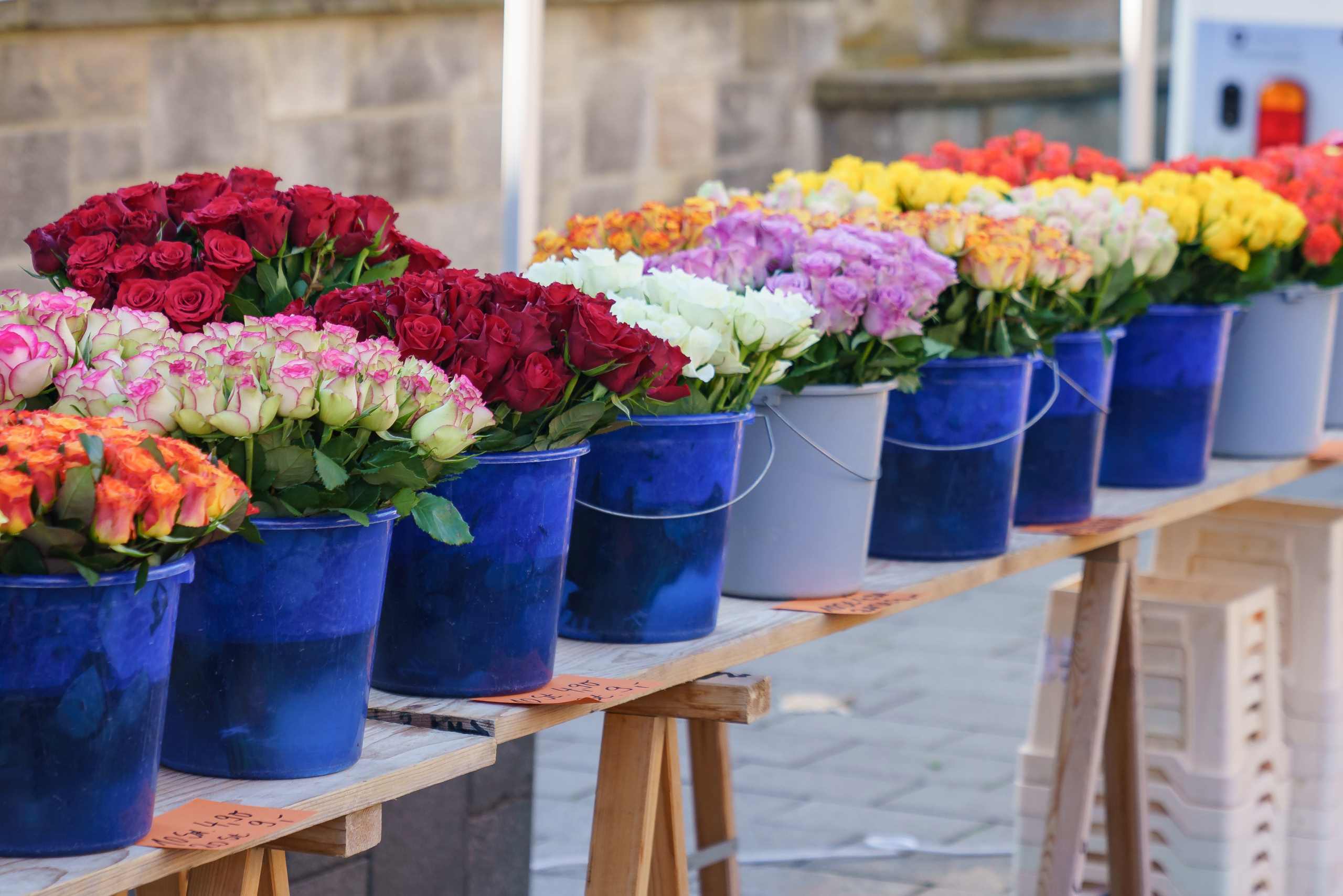 Auswahl von Blumen in Eimern auf einem Tisch