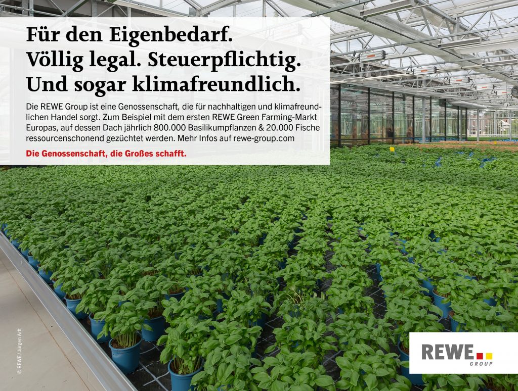 Basilkumpflanzen auf dem Dach eines REWE Green Farming-Markts