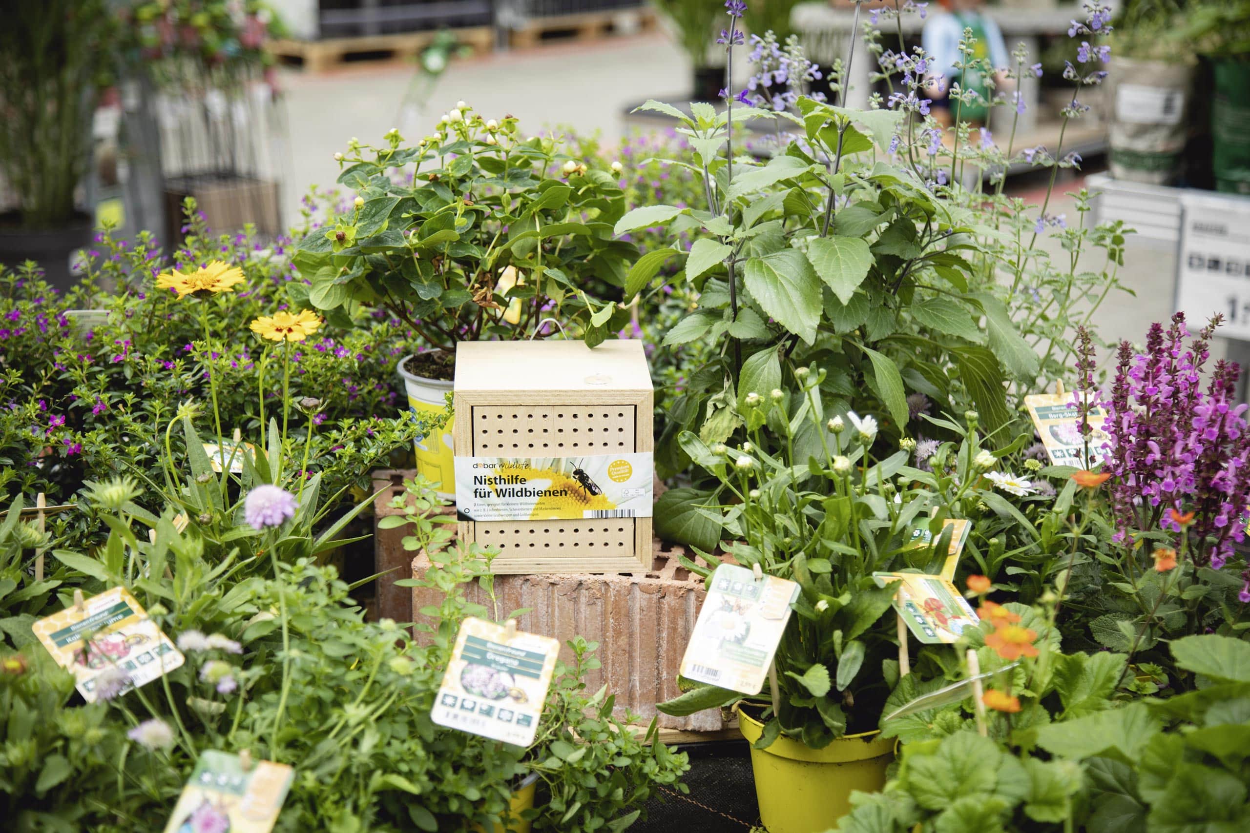 Bild von Nisthilfe in Mitten von Pflanzen