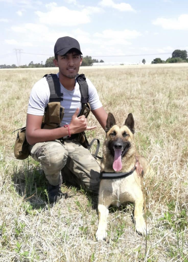 Mann und Schäferhund auf einer Wiese