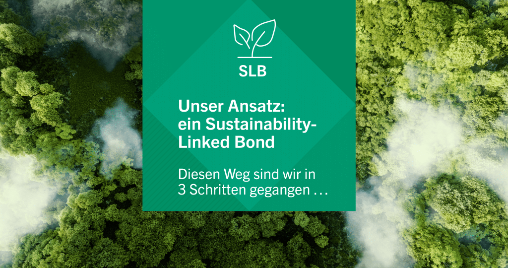 Text auf Hintergrund mit Bäumen von oben im Nebel. Der Text sagt 