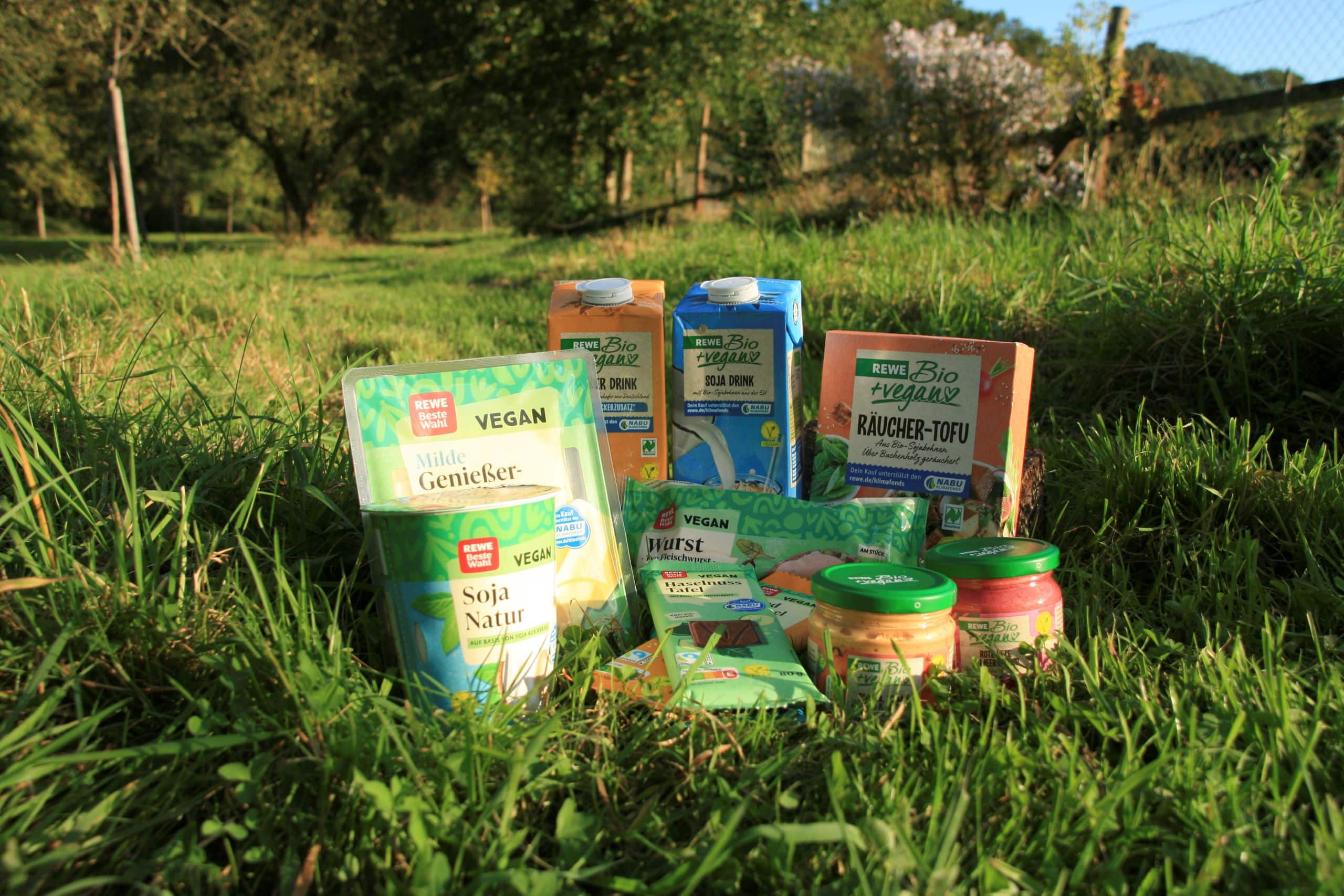 Assortment of REWE Vegan products