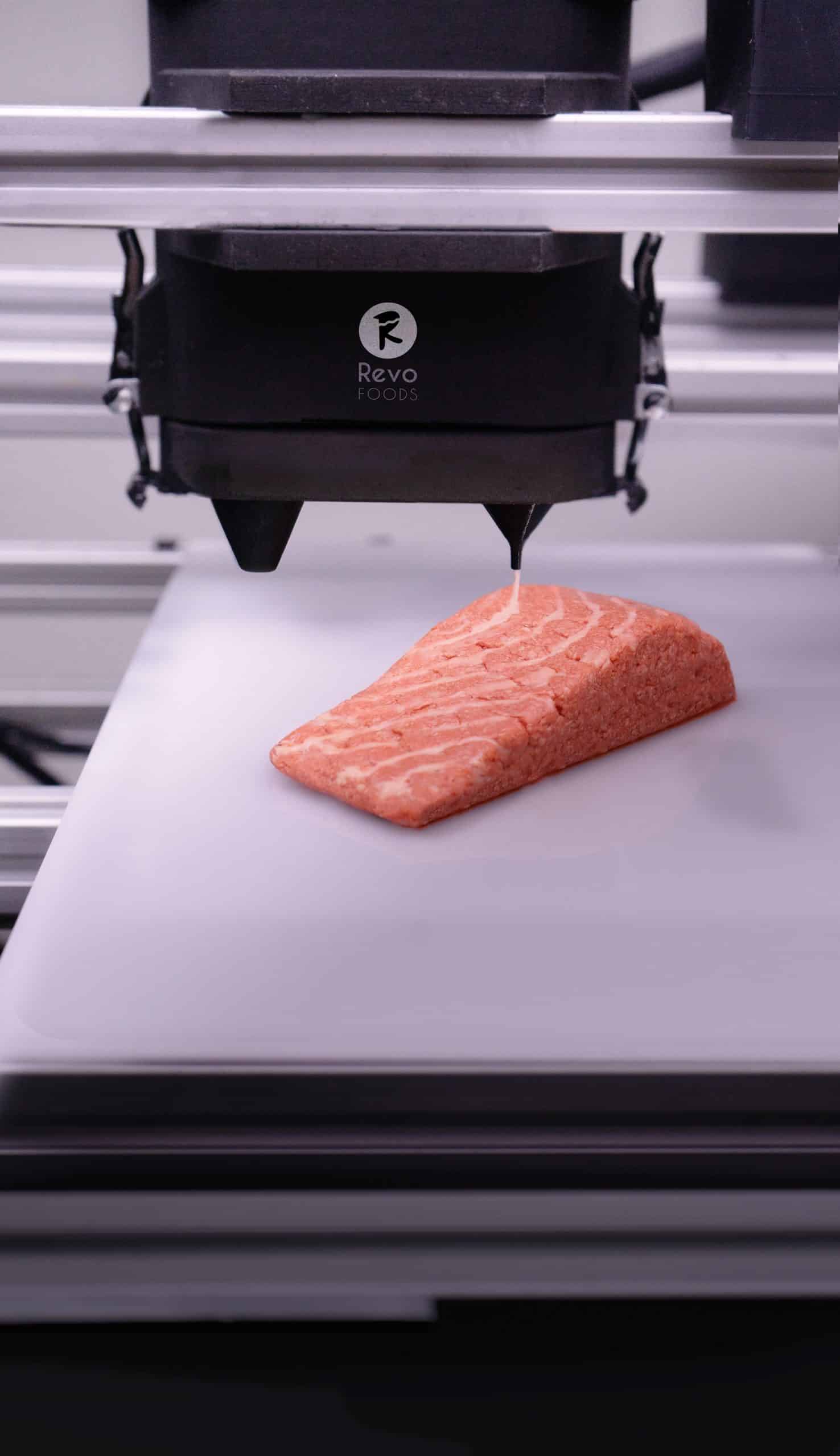 Revo 3D Drucker mit gedrucktem Lachsfilet
